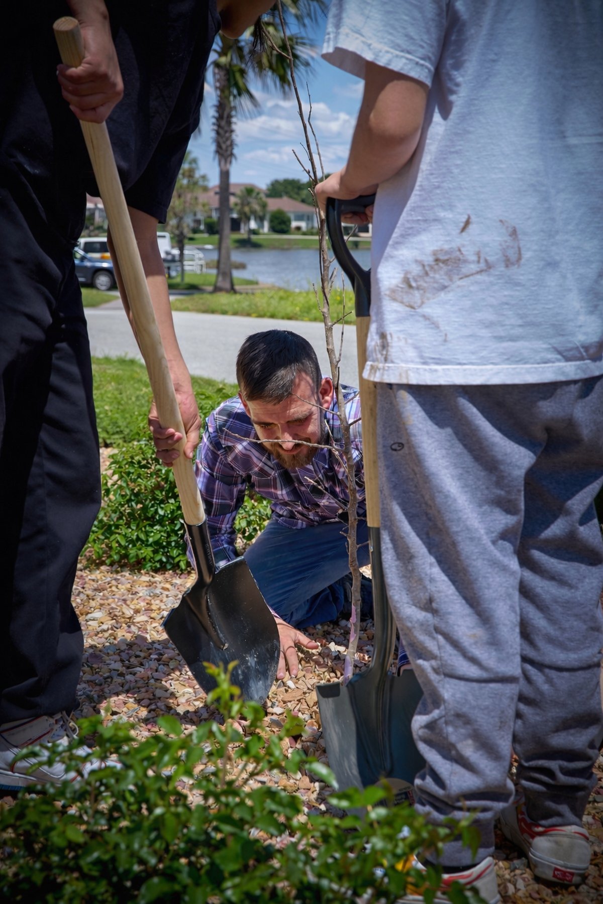 Tree planting community event